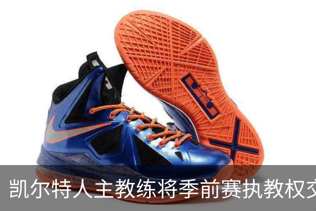 凯尔特人主教练将季前赛执教权交予助教，专注于录像分析